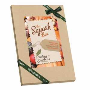 The Squash Box