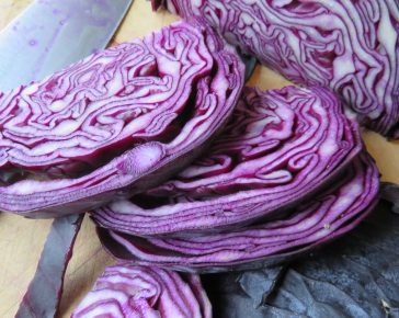 red cabbage