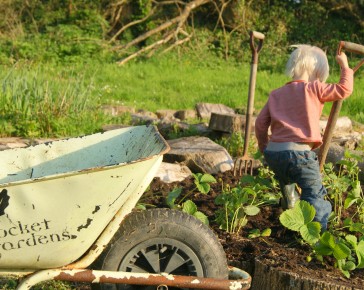 growing with rocket gardens