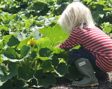 growing veg with children