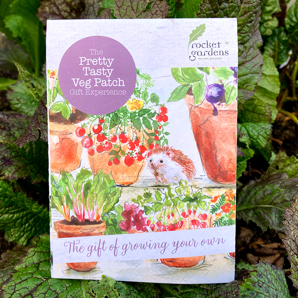 Pretty Tasty Veg Patch Experience (Gift Voucher)