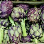 Globe Artichoke - Violet-de-Provence